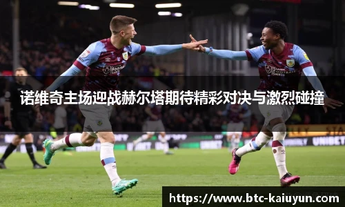诺维奇主场迎战赫尔塔期待精彩对决与激烈碰撞